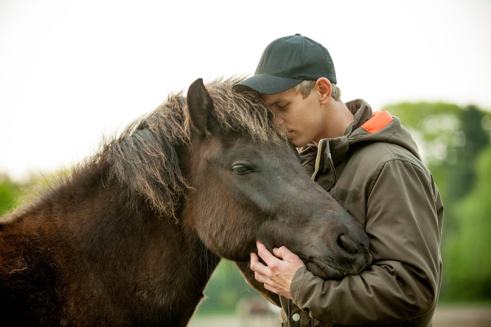 The Benefits of Equine Therapy for Mental Health