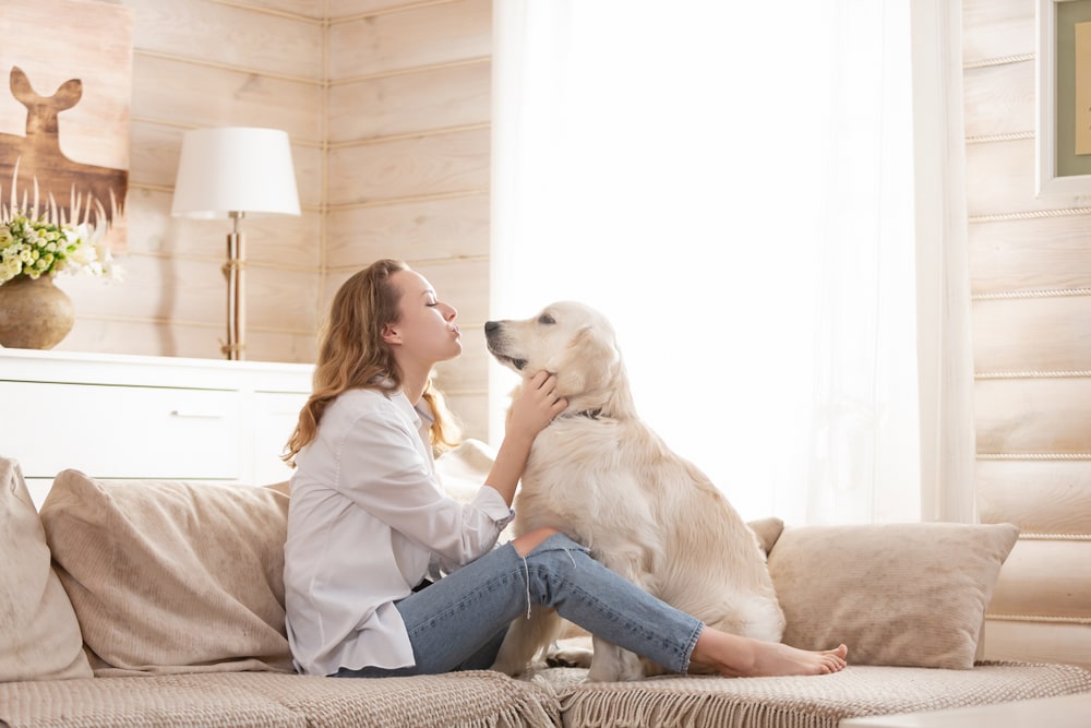 The Benefits of Pet Therapy for Mental Health